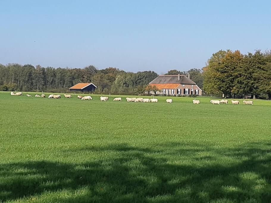B&B Joostink In Ворден Екстер'єр фото